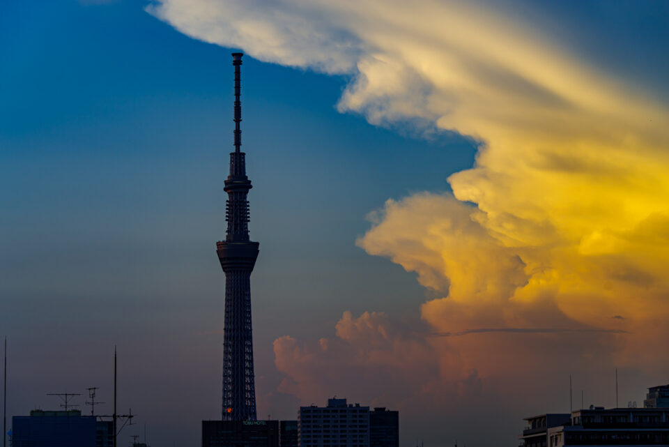 東京スカイツリーと黄色く焼けた雲