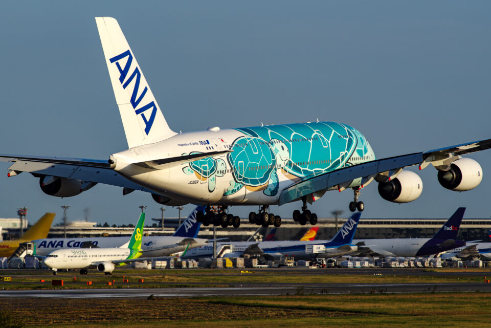 ANA A380 FLYING HONU 2号機