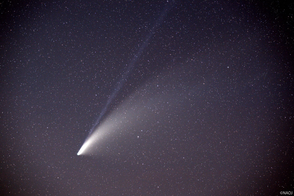 ネオワイズ彗星（by国立天文台）