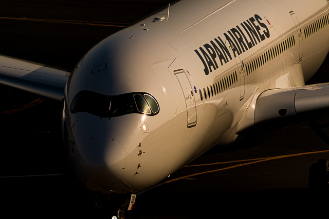 夕陽を浴びるJAL A350