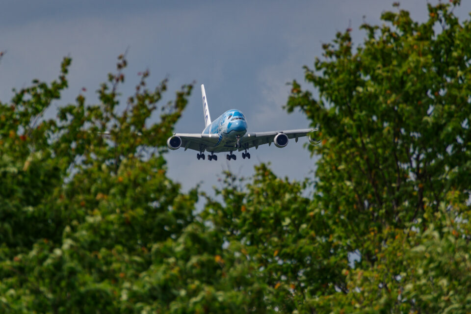 ANA A380 FLYING HONU 1号機