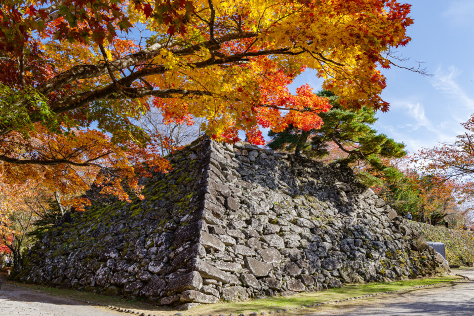 小諸城の石垣と紅葉
