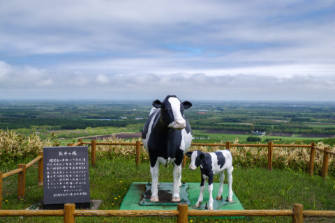 開陽台にあった乳牛の像