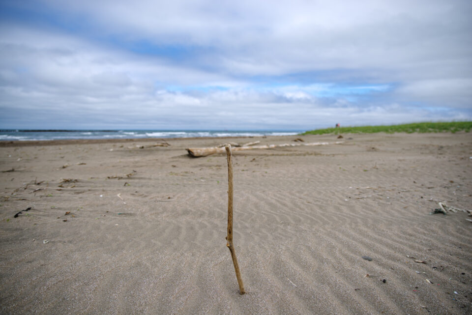 砂に刺さる木の棒