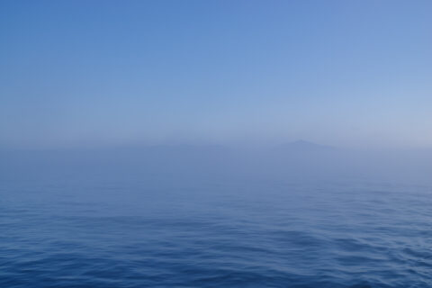 金華山沖の海霧