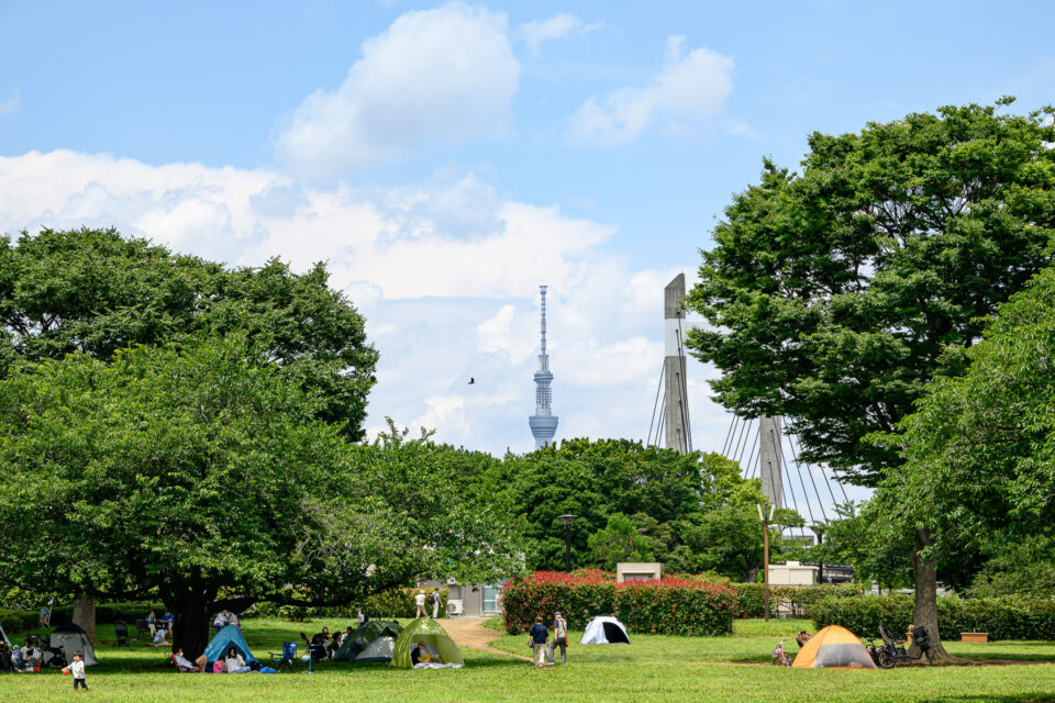 木場公園と東京スカイツリー