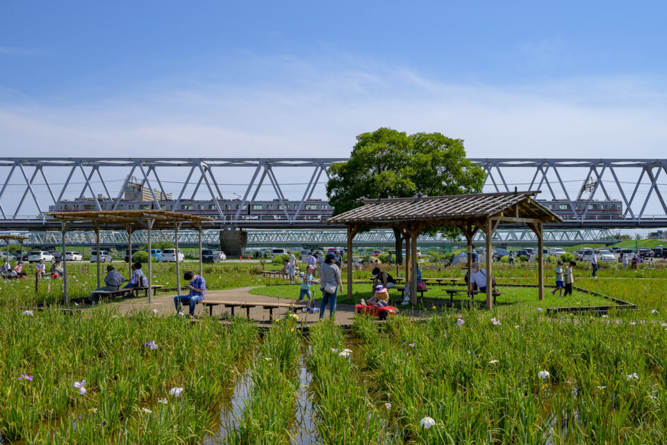 菖蒲園の風景