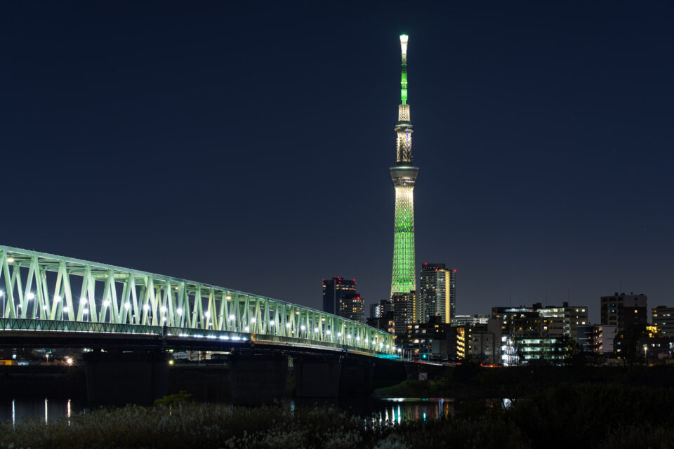 木根川橋と東京スカイツリーの夜景