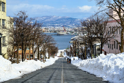 八幡坂から函館港の眺め