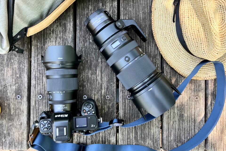 Nikon Z 8 と NIKKOR Z100-400mm と NIKKOR Z 24-120mm