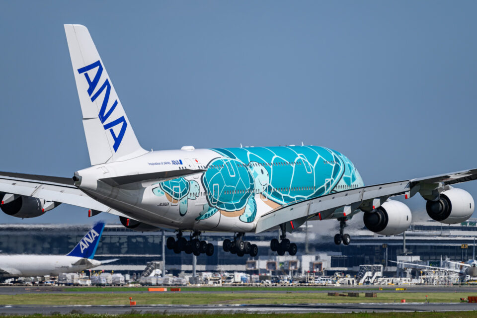 ANA Flying HONU A380-800 （JA382A)