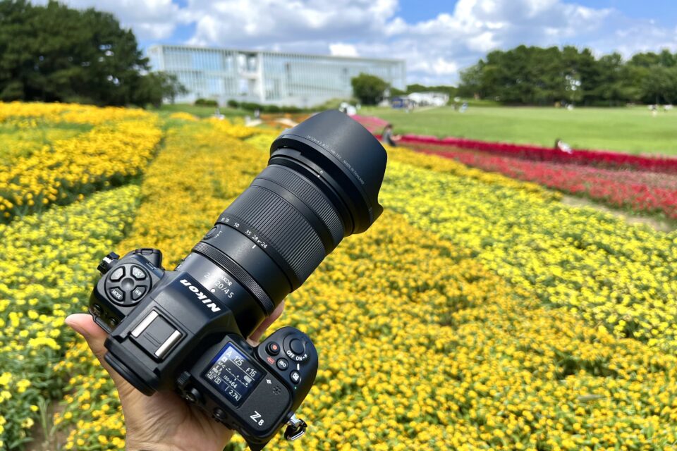 Nikon Z 8 + Z24-120mm f/4 S