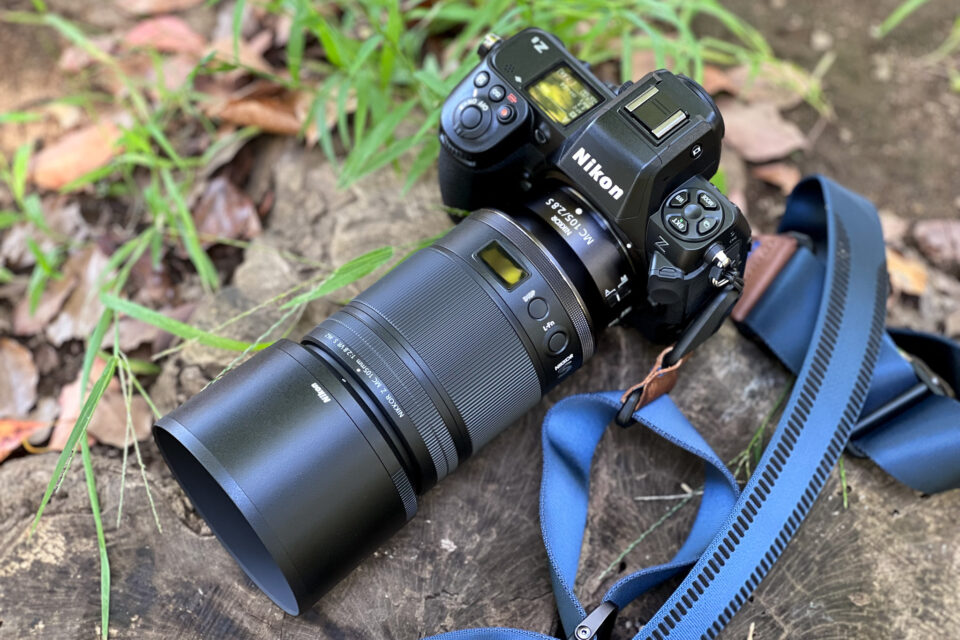 Nikon Z 8 + NIKKOR Z MC 105mm f/2.8 VR S