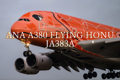 ANA A380 FLYING HONU JA383A