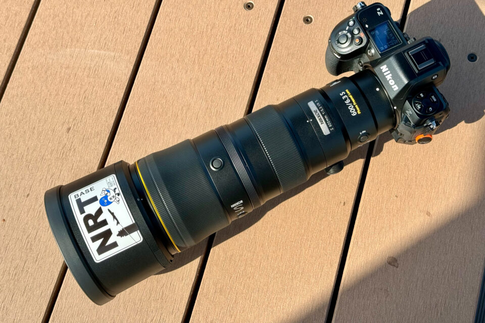 Nikon Z 8 + NIKKOR Z 600mm f/6.3 VR S