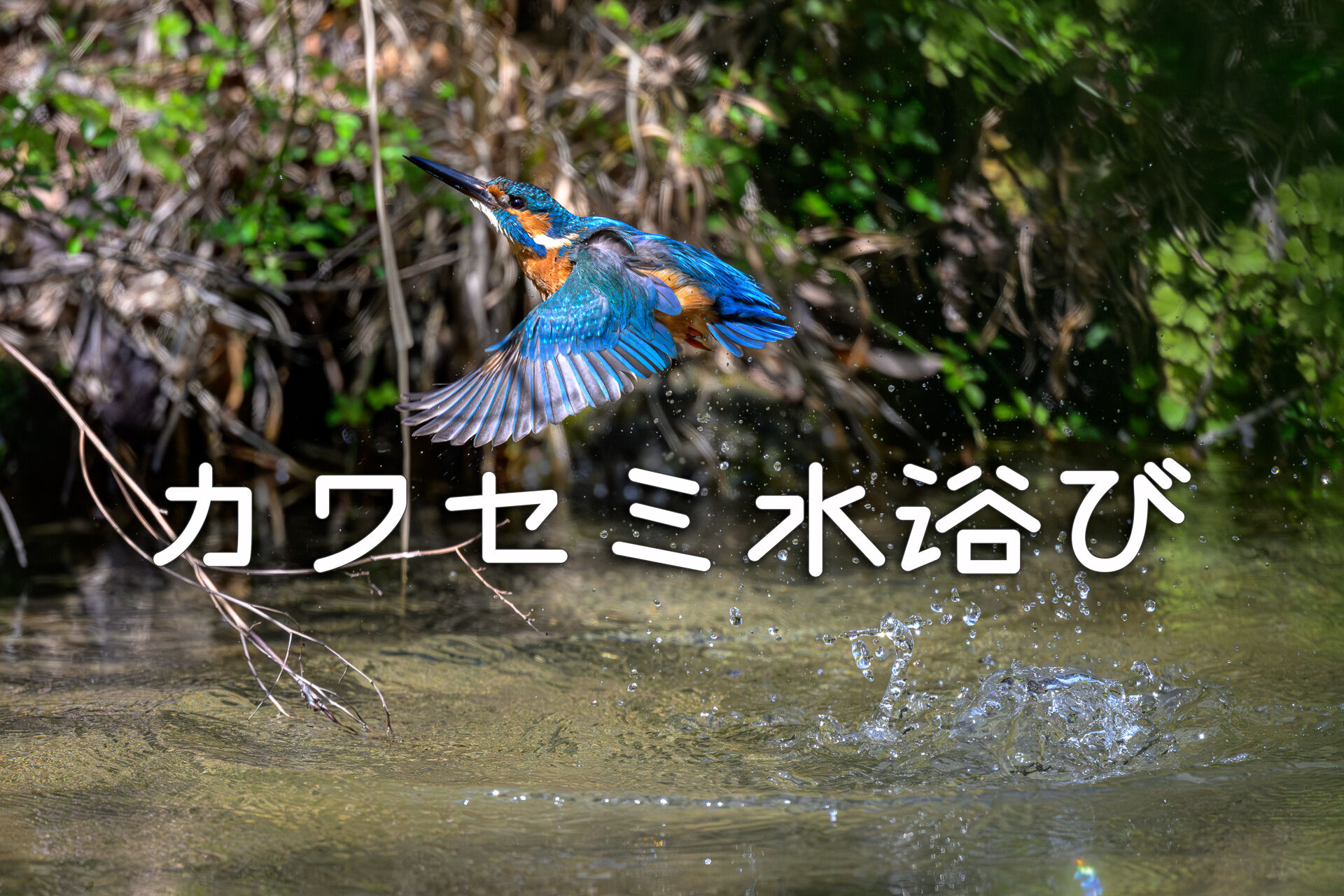 鳥肌実 つわもの鏡 手鏡