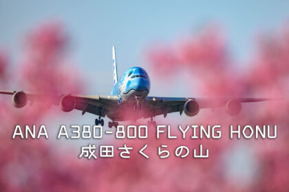 ANA A380-800 FLYING HONU 成田さくらの山