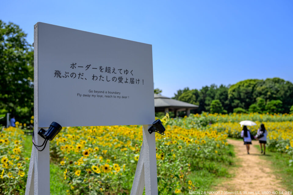 ひまわり畑のポエム看板