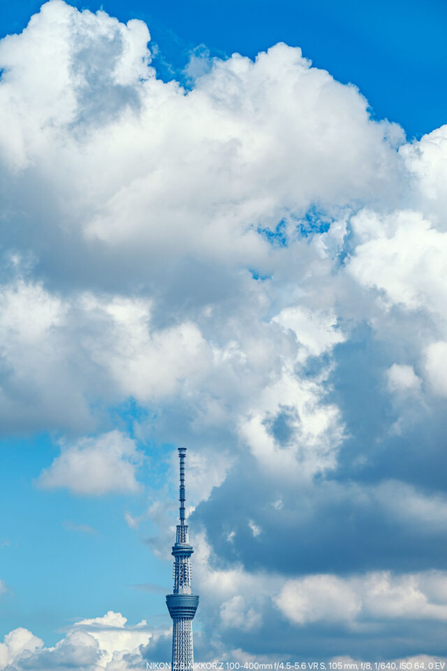 夏空に東京スカイツリー