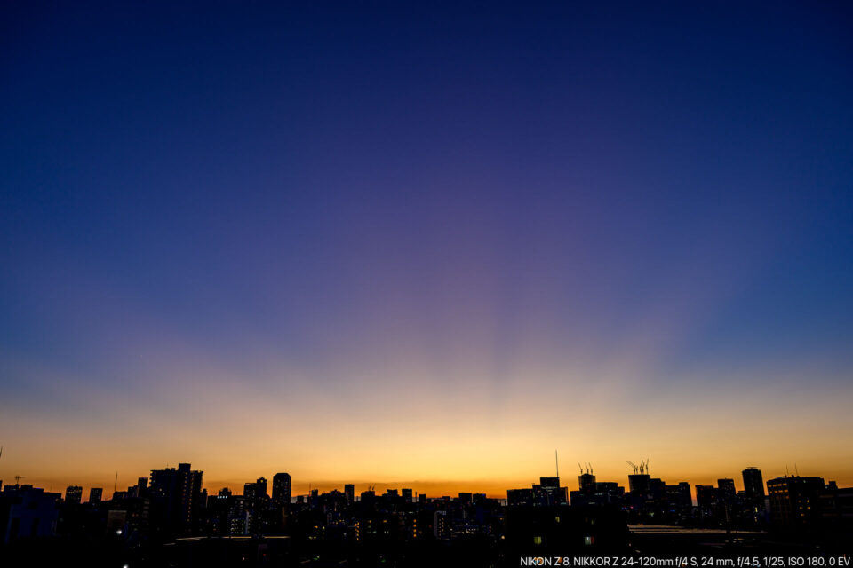 東京のマジックアワー