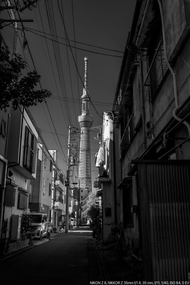 下町裏路地から東京スカイツリー