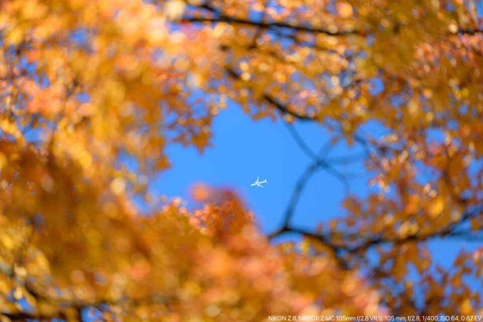 秋の空