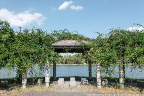 周辺光量補正あり