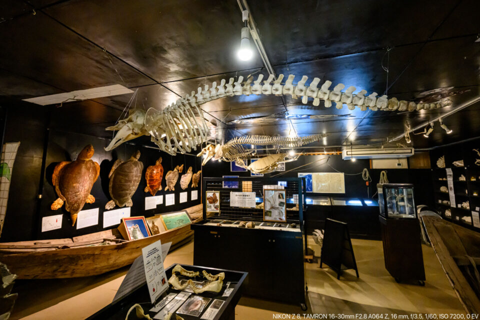 黒島研究所展示室