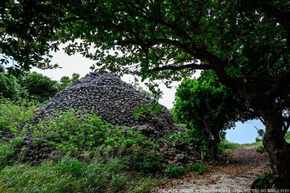 黒島のプズマリ