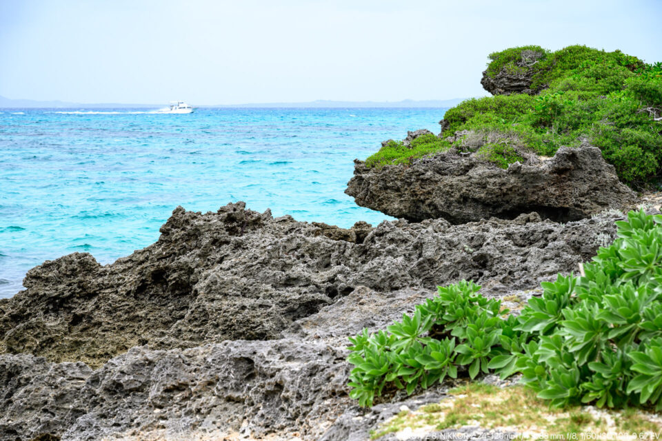西ノ浜からの眺め