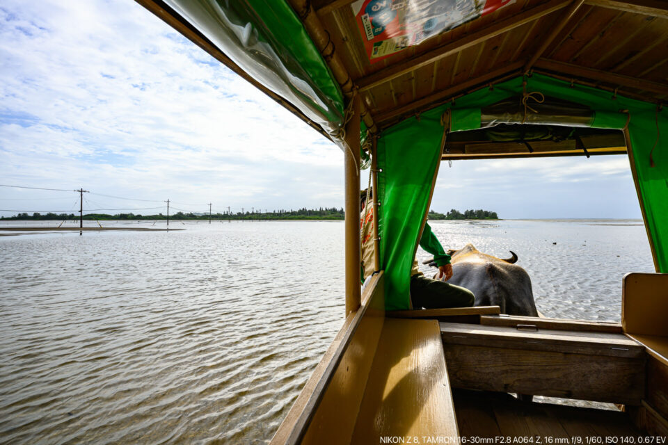 貸し切り状態の水牛車