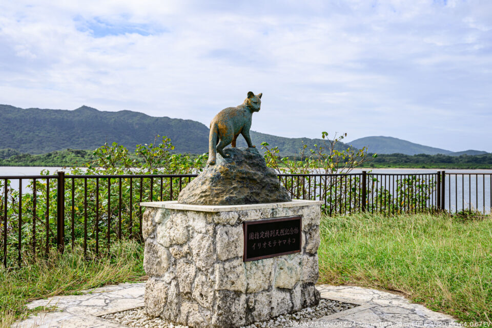 海中道路のイリオモテヤマネコ像