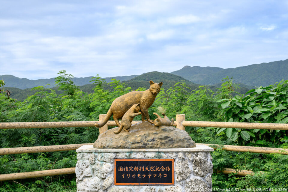 後良橋ロードパークのイリオモテヤマネコ像