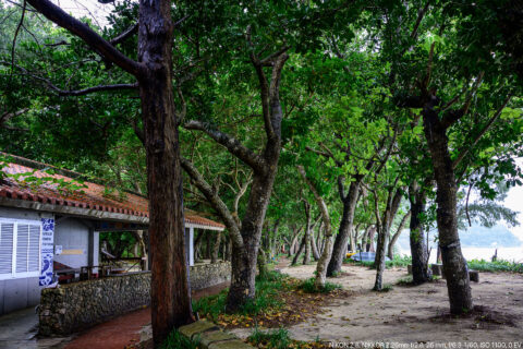 底地ビーチの森