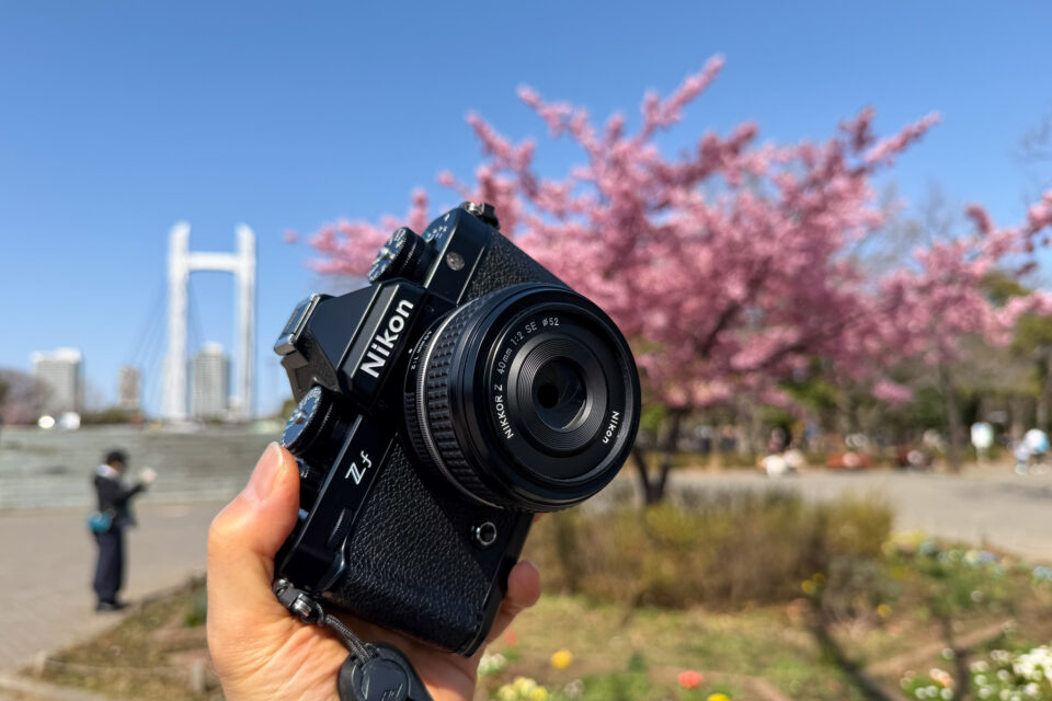 河津桜とZfとZ40mm